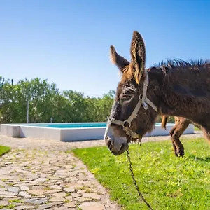 Bauernhof Burro, Portimão